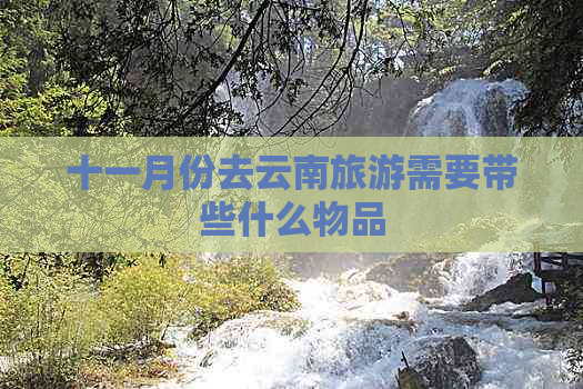 十一月份去云南旅游需要带些什么物品