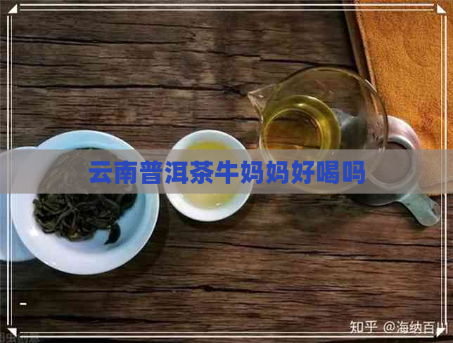 云南普洱茶牛妈妈好喝吗