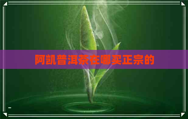 阿凯普洱茶在哪买正宗的