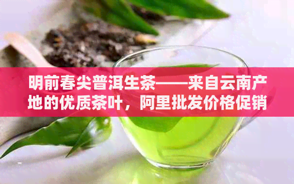 明前春尖普洱生茶——来自云南产地的优质茶叶，阿里批发价格促销活动进行中