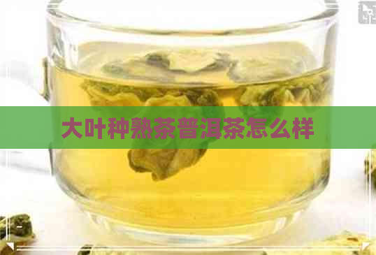 大叶种熟茶普洱茶怎么样