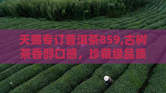 天赐专订普洱茶859,古树茶香醇口感，珍藏级品质，限时优抢购！