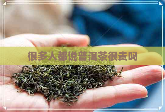 很多人都说普洱茶很贵吗