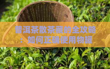 普洱茶散茶藏的全攻略：如何正确使用物罐