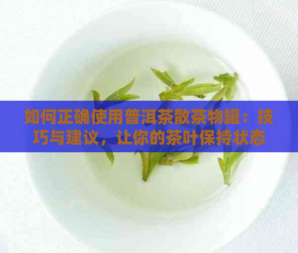 如何正确使用普洱茶散茶物罐：技巧与建议，让你的茶叶保持状态