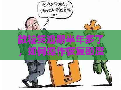 微粒贷逾期半年多了，如何操作恢复额度？内幕揭示及解决办法全解析