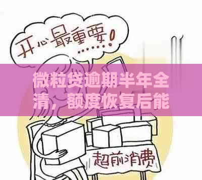 微粒贷逾期半年全清，额度恢复后能否再借出？如何操作？