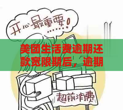 美团生活费逾期还款宽限期后，逾期10天是否可以再次借款？