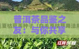 普洱茶品鉴之友：与你共享茶香人生