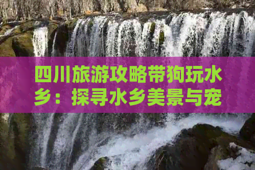 四川旅游攻略带狗玩水乡：探寻水乡美景与宠物的快乐时光游