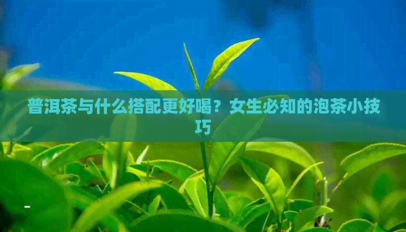 普洱茶与什么搭配更好喝？女生必知的泡茶小技巧