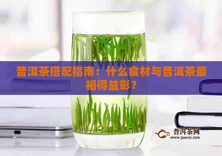 普洱茶搭配指南：什么食材与普洱茶最相得益彰？