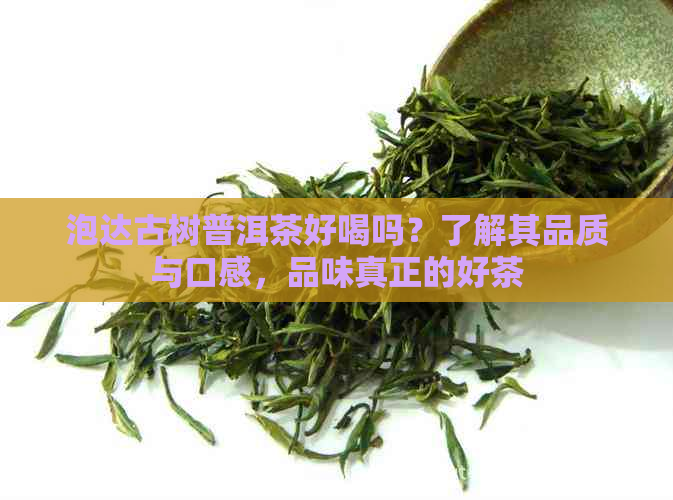 泡达古树普洱茶好喝吗？了解其品质与口感，品味真正的好茶