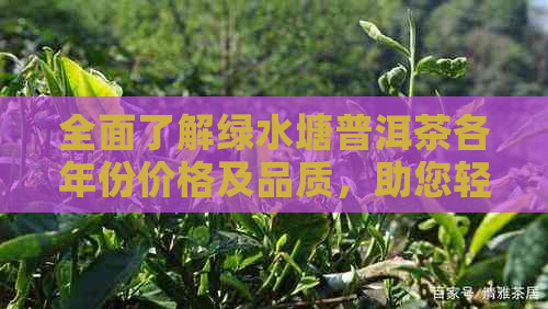 全面了解绿水塘普洱茶各年份价格及品质，助您轻松挑选购买