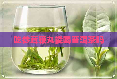 吃参茸鞭丸能喝普洱茶吗