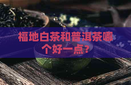 福地白茶和普洱茶哪个好一点？