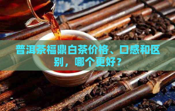 普洱茶福鼎白茶价格、口感和区别，哪个更好？