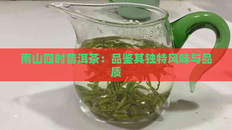 南山四时普洱茶：品鉴其独特风味与品质