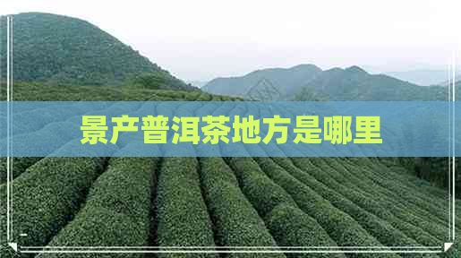 景产普洱茶地方是哪里