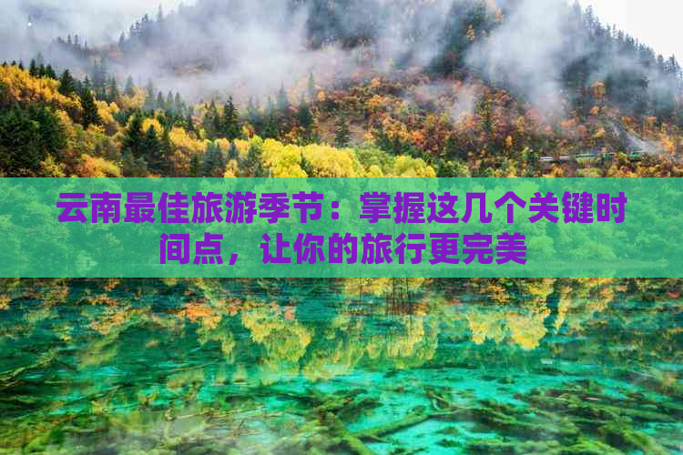 云南更佳旅游季节：掌握这几个关键时间点，让你的旅行更完美