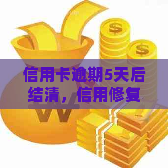 信用卡逾期5天后结清，信用修复时间及恢复信用报告的详细步骤