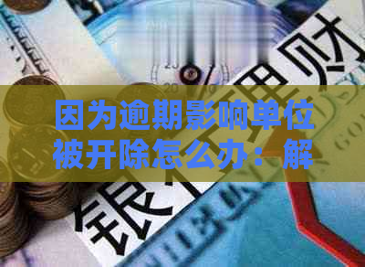 因为逾期影响单位被开除怎么办：解决方法与影响分析