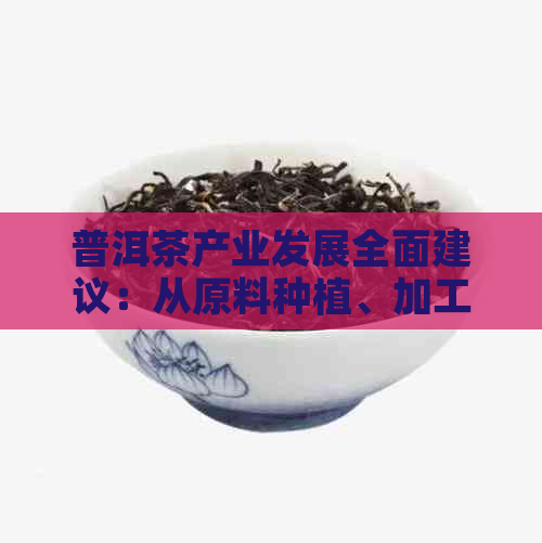 普洱茶产业发展全面建议：从原料种植、加工工艺到市场展的全方位探讨