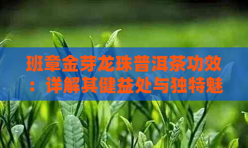 班章金芽龙珠普洱茶功效：详解其健益处与独特魅力