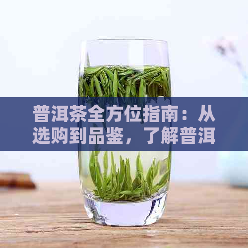 普洱茶全方位指南：从选购到品鉴，了解普洱茶的各个方面及其作用