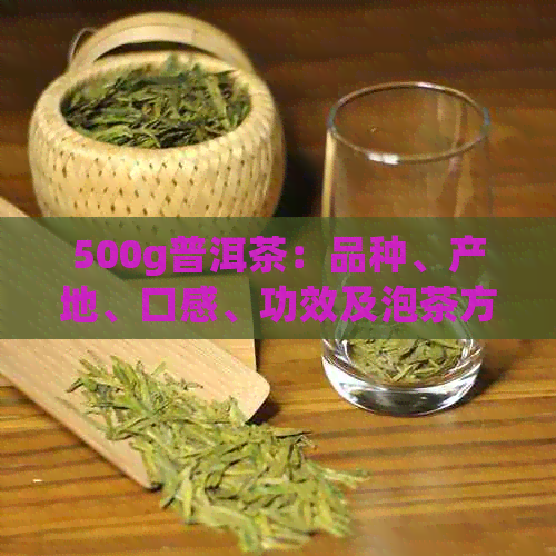 500g普洱茶：品种、产地、口感、功效及泡茶方法全面解析