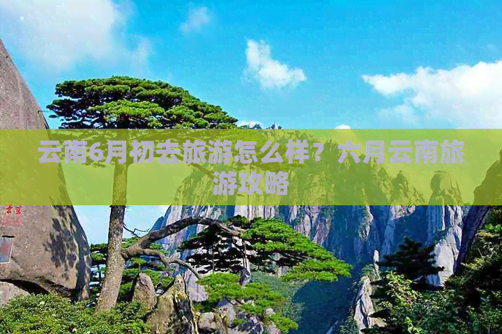 云南6月初去旅游怎么样？六月云南旅游攻略