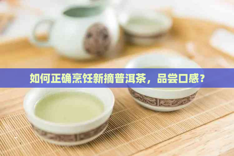 如何正确烹饪新摘普洱茶，品尝口感？