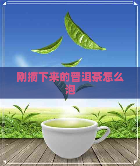 刚摘下来的普洱茶怎么泡