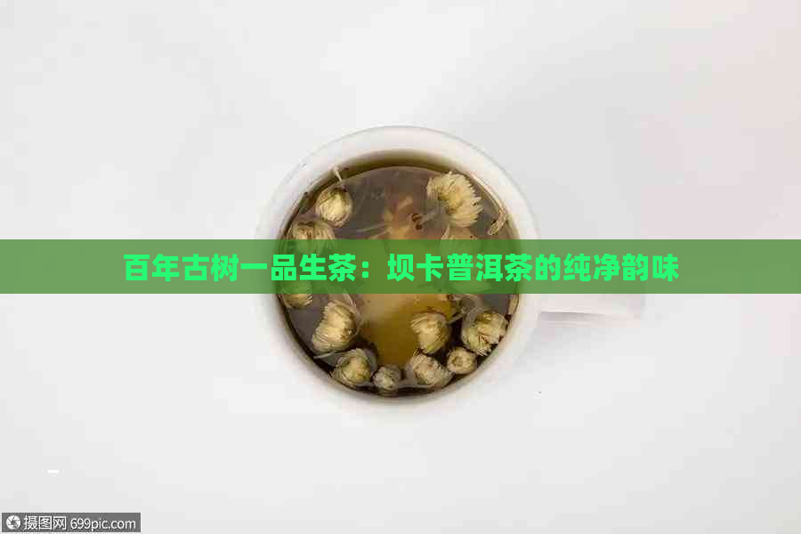 百年古树一品生茶：坝卡普洱茶的纯净韵味