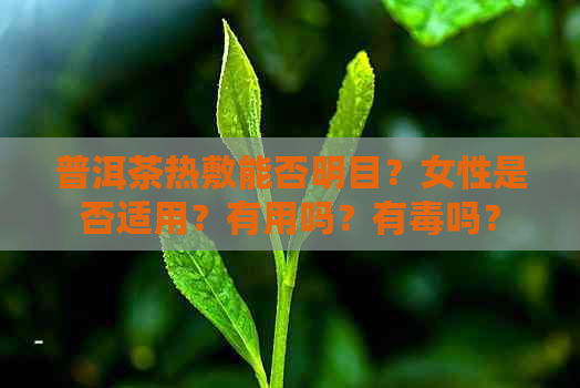 普洱茶热敷能否明目？女性是否适用？有用吗？有吗？