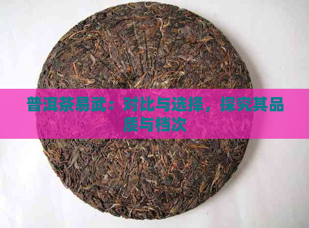 普洱茶易武：对比与选择，探究其品质与档次