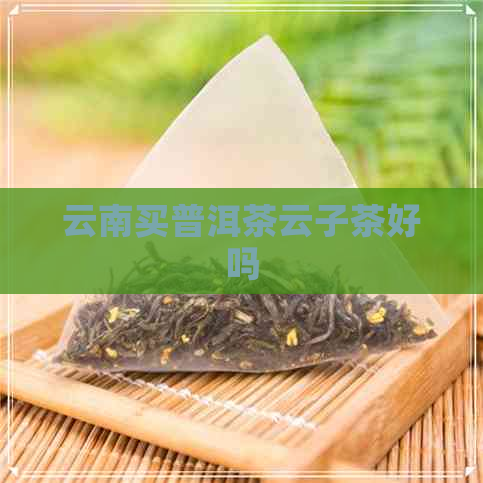 云南买普洱茶云子茶好吗