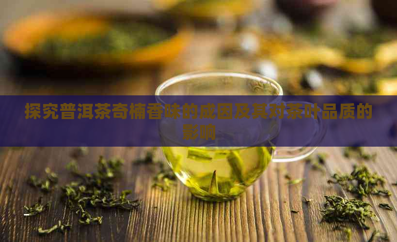 探究普洱茶奇楠香味的成因及其对茶叶品质的影响