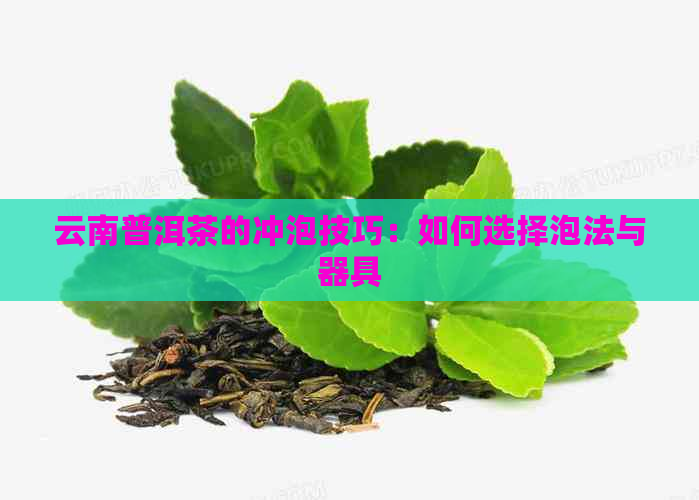 云南普洱茶的冲泡技巧：如何选择泡法与器具