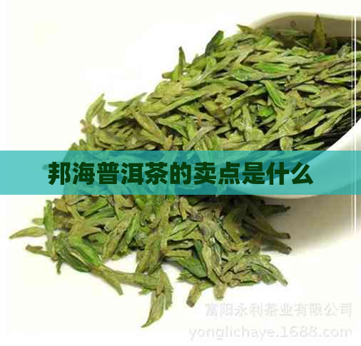 邦海普洱茶的卖点是什么