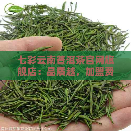 七彩云南普洱茶官网旗舰店：品质越，加盟费用详解