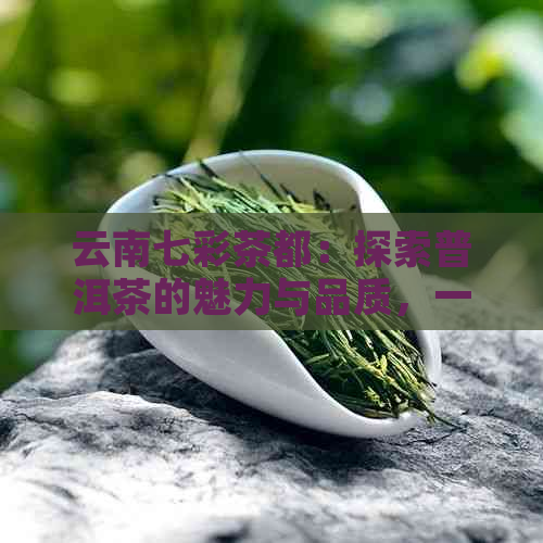 云南七彩茶都：探索普洱茶的魅力与品质，一家全方位的茶叶专卖店