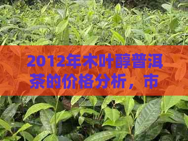 2012年木叶醇普洱茶的价格分析，市场趋势与消费者行为研究