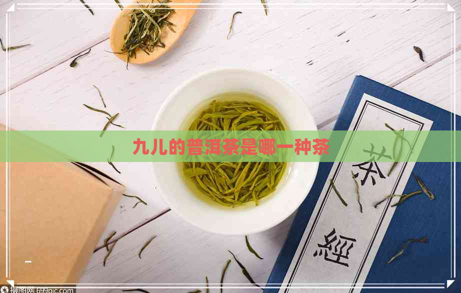 九儿的普洱茶是哪一种茶