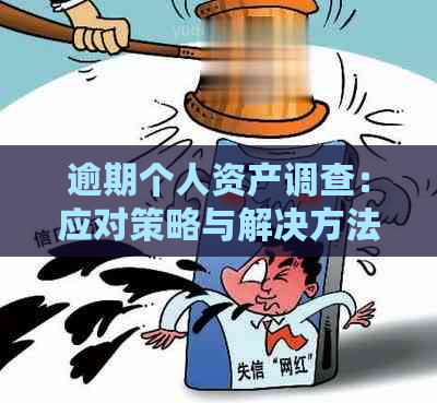 逾期个人资产调查：应对策略与解决方法