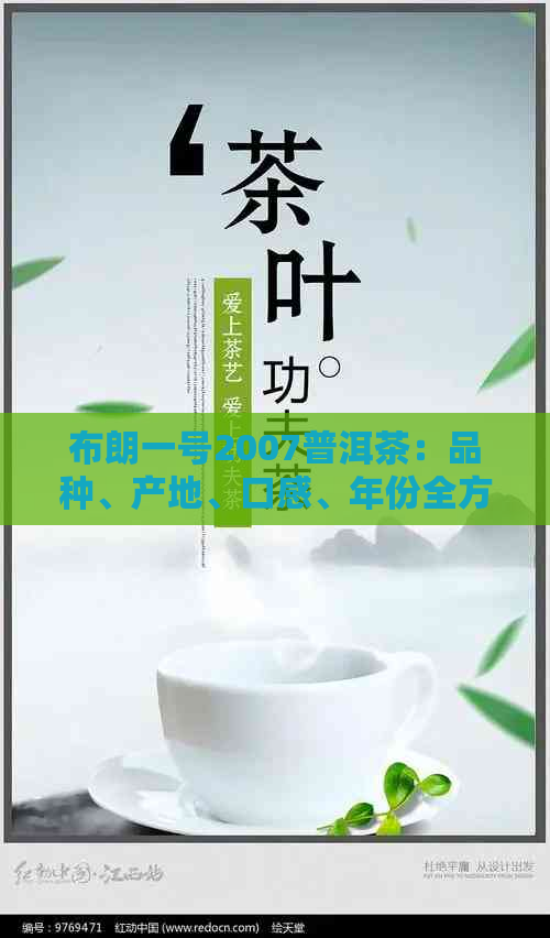 布朗一号2007普洱茶：品种、产地、口感、年份全方位解析与品鉴指南