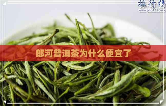 郎河普洱茶为什么便宜了