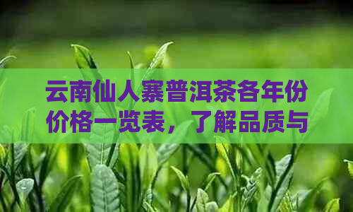 云南仙人寨普洱茶各年份价格一览表，了解品质与价格的选择