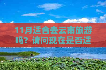 11月适合去云南旅游吗？请问现在是否适宜？