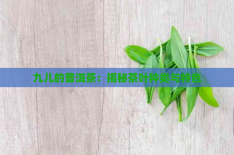 九儿的普洱茶：揭秘茶叶种类与特色